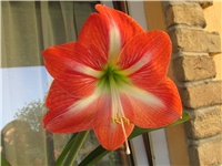 2b850ec0-Picture 358.jpg